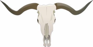 指骨属于什么骨？一文看懂你的手指骨骼结构