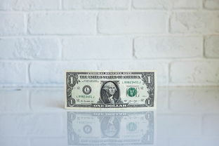 公司债务逾期怎么办？手把手教你官方处理流程