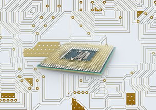 行政机关到底是什么？你真的了解它在我们生活中的作用吗？