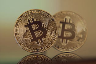 招商银行U盾多少钱？了解它的价值远不止价格本身