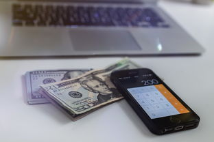 网贷逾期3个月后再还款，真的只还本金就行吗？
