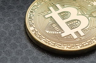 补办招商信用卡多少钱？看完这篇你就全明白了！