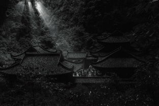 重庆是什么都？你真的了解这座魔幻8D城市吗？