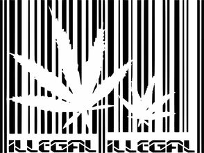 你真的知道号是什么意思吗？背后可能藏着这些法律含义！