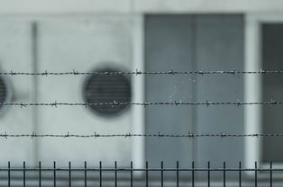 取保候审是什么意思还会判刑吗？