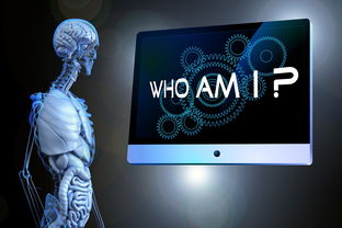 网商易贷逾期会怎么样吗？一文讲透你的所有疑问！