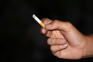 什么的作业到底算不算违法？看完这篇你就明白了！