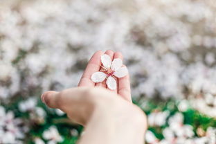 尽调是什么意思？别再一知半解了，律师带你彻底搞懂！