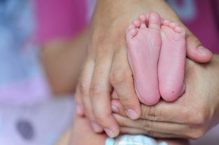 普惠性幼儿园是什么意思？听律师一讲，家长秒懂！