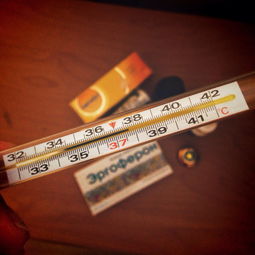 办港澳通行证需要什么证件？一次说清楚，别再跑空了！