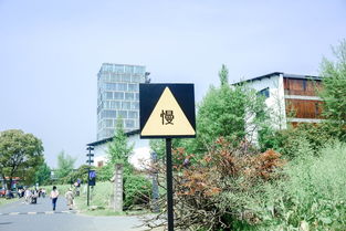 什么是棚户区？听起来像临时工棚，但它背后藏着多少人的生活困境？