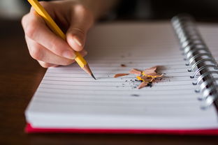 小孩子可以不交社保吗？律师为你深度解析