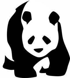 什么是事实？你以为你知道，其实你可能一直搞错了！
