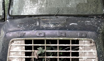 货车逾期一年没审车，还能补审吗？资深律师的专业解答