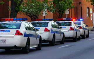 轻微家暴可以报警拘留男方吗(家暴违反了哪条法律法规)