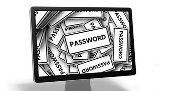 企业不交社保，员工权益谁来守护？一位资深律师的深度剖析