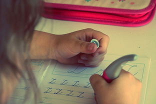 孩子小学成绩查不到？家长到底该怎么办？