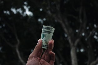 退社保怎么退？很多人以为能拿回钱，结果却踩了坑？