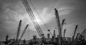 工伤后多久申请伤残鉴定合适