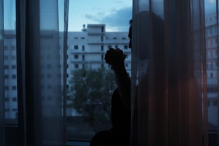 怎么没有吵架?感情保鲜的五个法律人视角