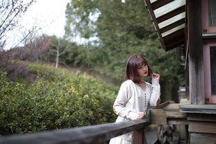 吵架也要有法律边界？撒贝宁夫妻吵架背后的法律智慧