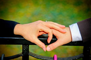 遭遇侵权怎么办？被抄袭了如何维权？