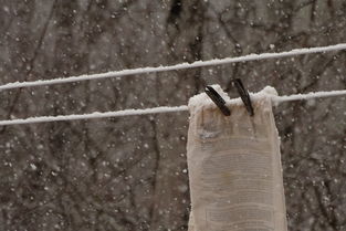 暴雨天家里被淹了该找谁赔？隔壁排水管堵了谁负责？
